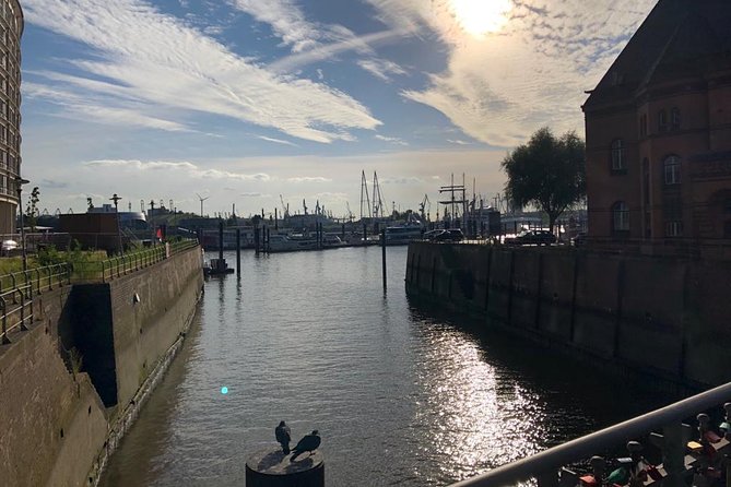 Elbe Philharmonic Hall, HafenCity and Speicherstadt tour - Grasbrookpark: A Small Break in a Large Project