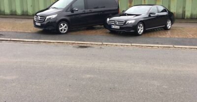3-Hour Limousine Tour with Driver-Guide