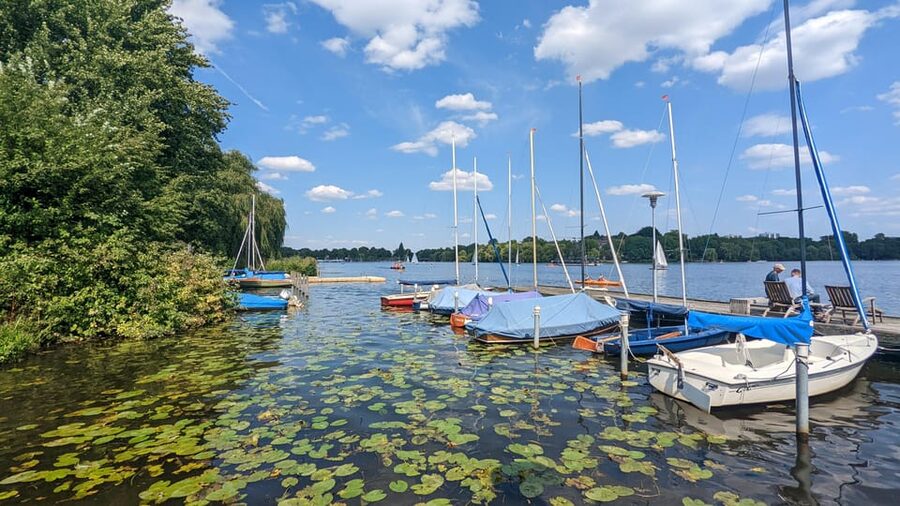 Hamburg among friends - Van tour - Key things to know before you go