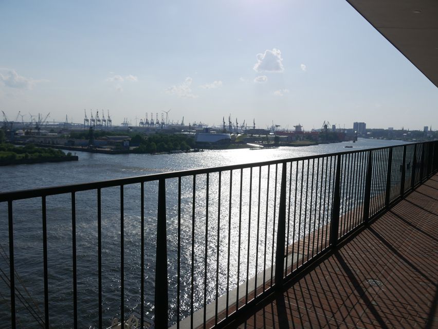 Hamburg: Elbphilharmonie Plaza Guided Tour - The controversy, costs, acoustics, and materials: what you learn and why it matters