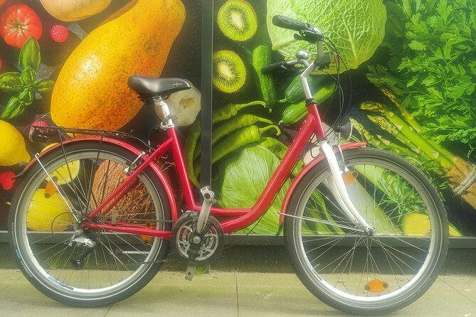 hamburg Experienced differently with wish rental bike relaxed enjoy - HafenCity, cruise ships, and the Elbphilharmonie secret