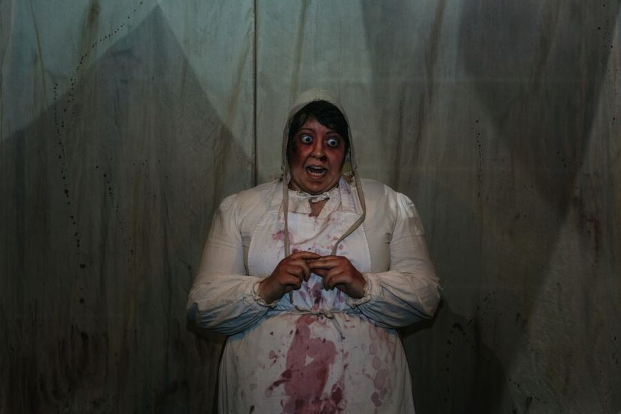 Hamburg: Hamburg Dungeon Admission Ticket - Price and value: what $33 buys you in the real world