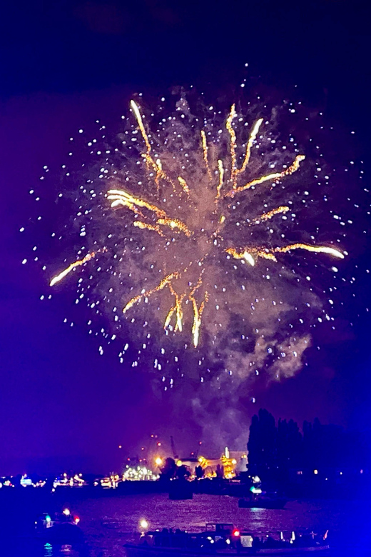 Hamburg: New Years Eve Harbour Cruise - Why a New Year’s harbour cruise beats standing on the shore