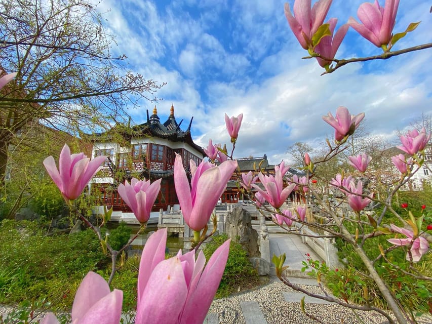 Radtour um die Alster & durch traumhafte Alsterviertel - FAQ